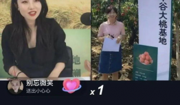 桃隐中短视频,探寻隐秘桃花源，揭秘人间仙境